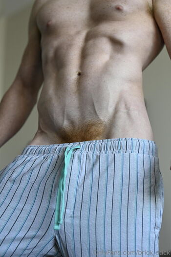 brick_stick