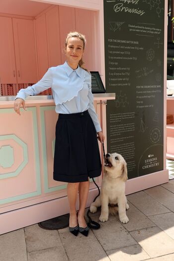 Brie Larson