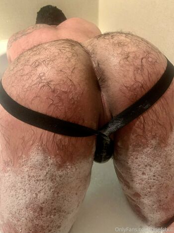 briefsbull