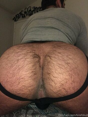 briefsbull