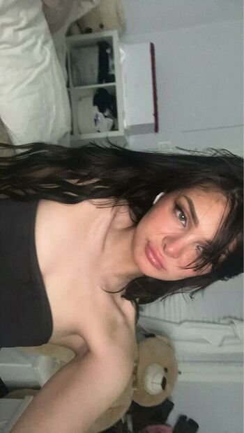 Brighton Sharbino