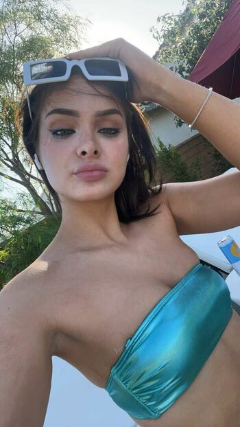 Brighton Sharbino