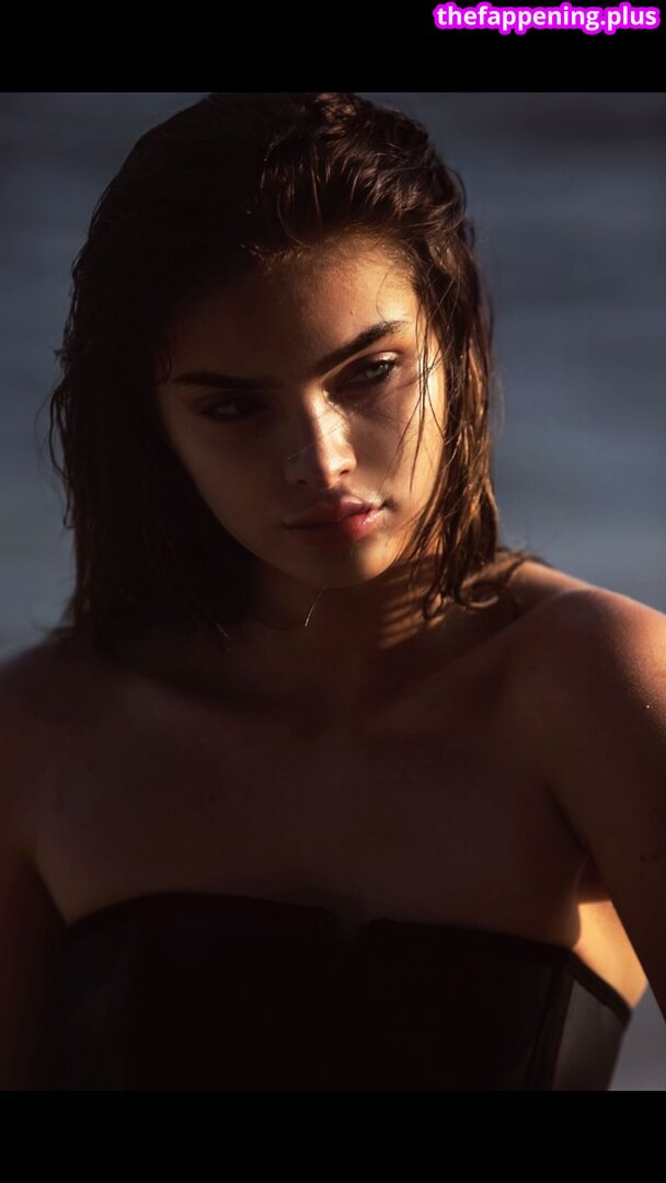 Brighton Sharbino