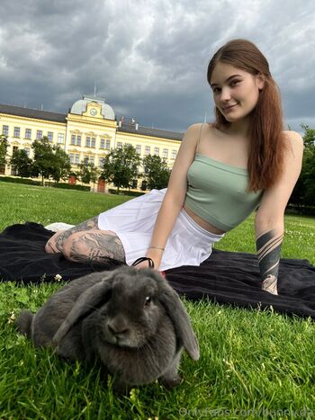bunny.da