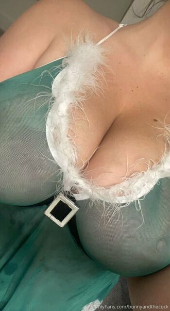 bunnyandthecock