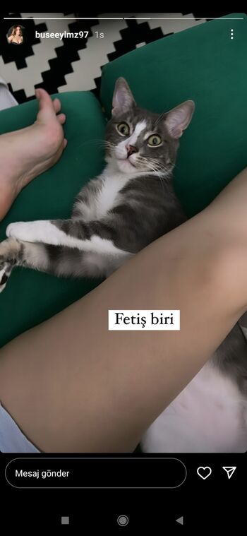 buseeylmz97