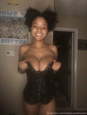 Bush Baby