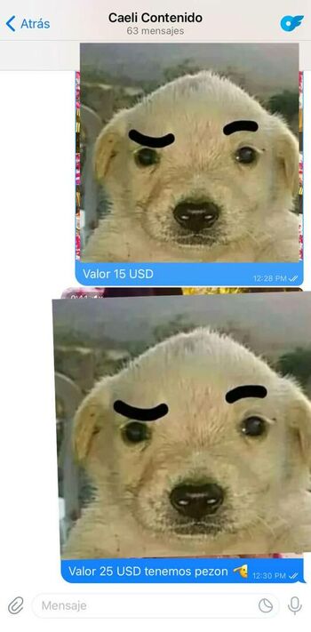 Caeli