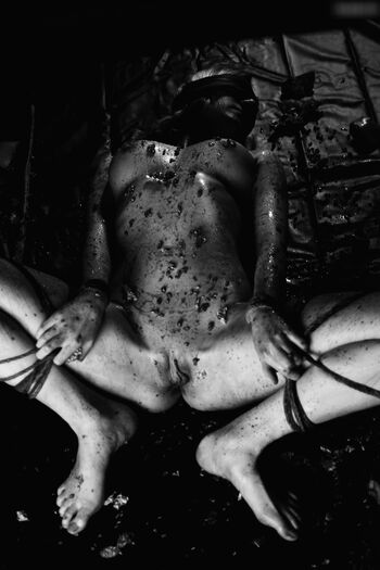 Calvato Photography - Patreon