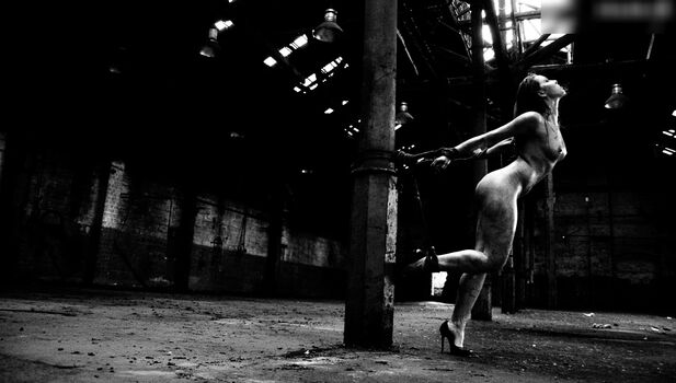Calvato Photography - Patreon