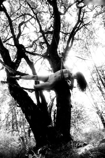 Calvato Photography - Patreon