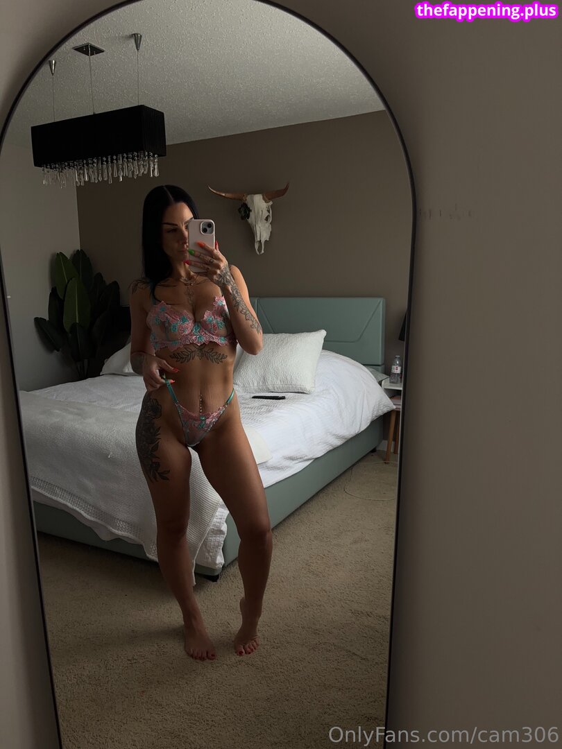 cam306