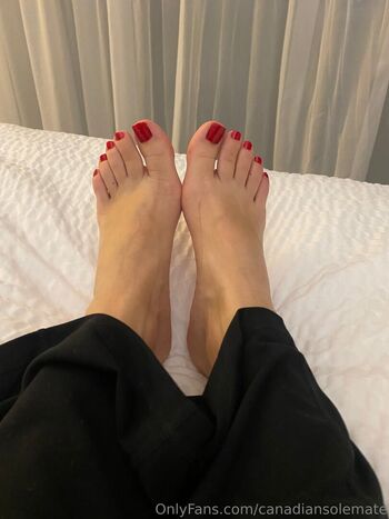 canadiansolemate