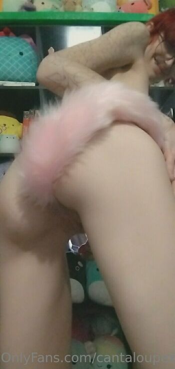 cantaloupexo