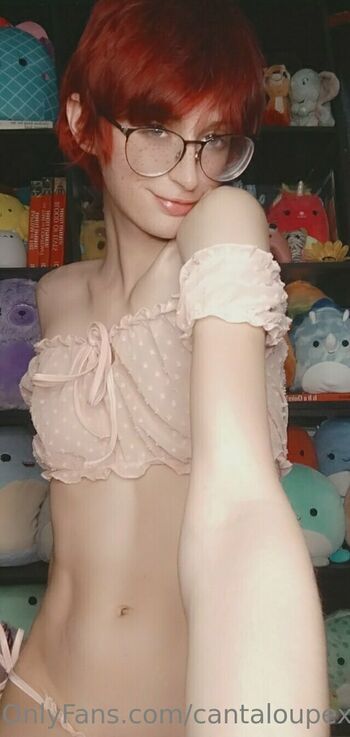 cantaloupexo