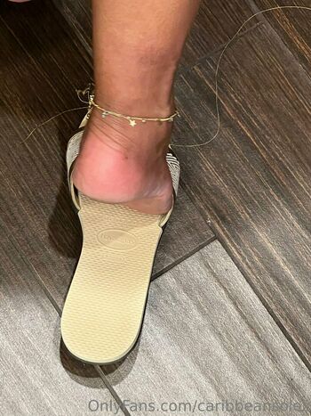 caribbeansolez
