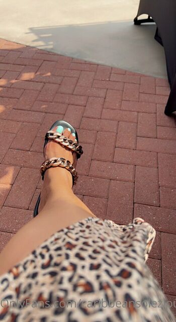 caribbeansolezlounge