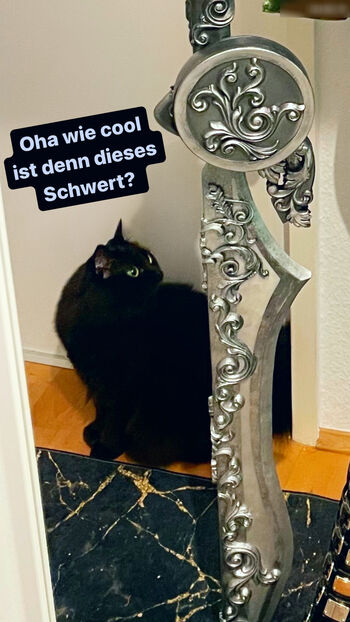 Carina Pusch