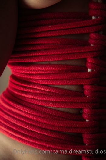 carnaldreamstudios