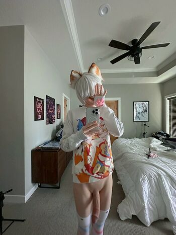 Catboiaoi