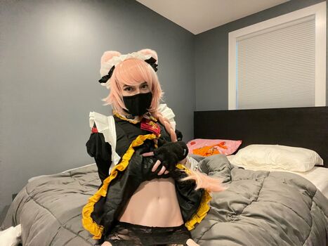 Catboiaoi
