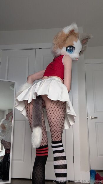 catexclusive