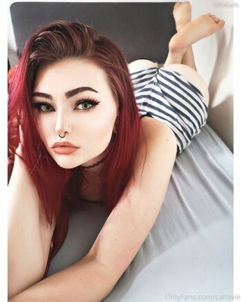 CatLavie