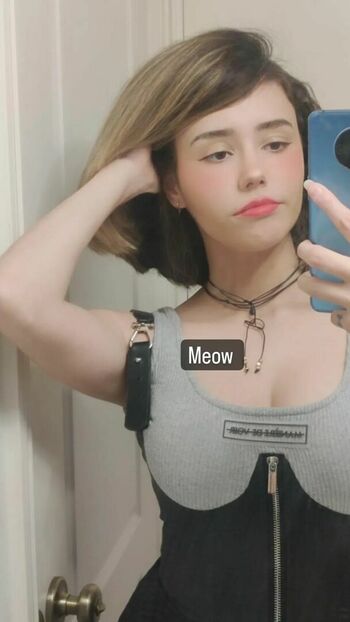 Catplant ASMR