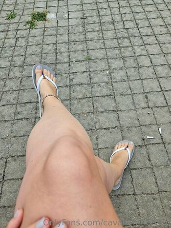 cavalierifeetfree