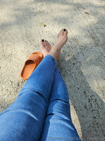 cavalierifeetfree