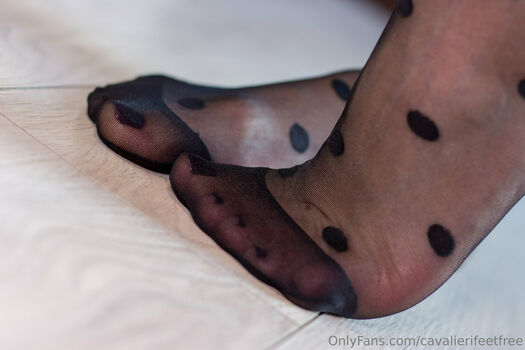 cavalierifeetfree
