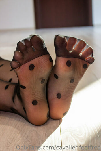cavalierifeetfree