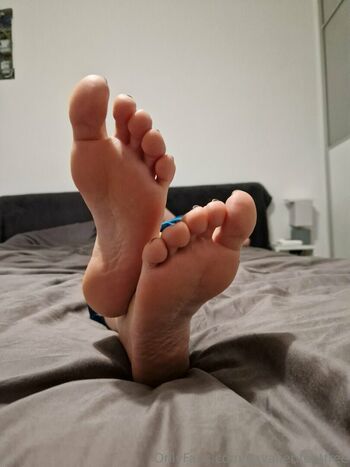 cavalierifeetfree