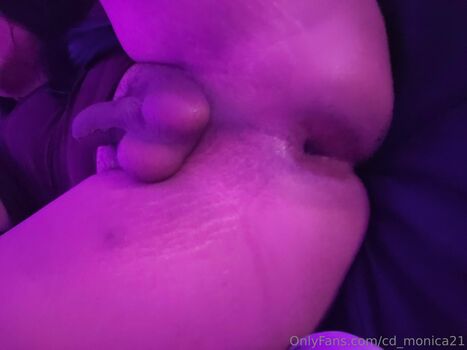 cd_monica21