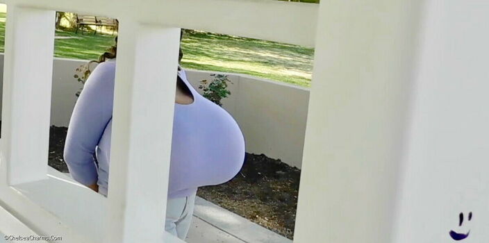 Chelsea Charms