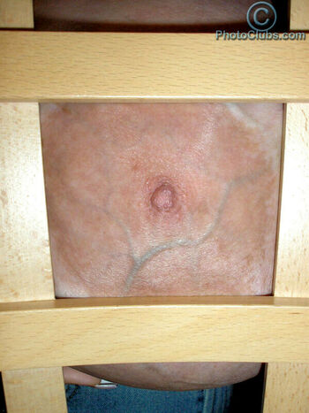 Chelsea Charms