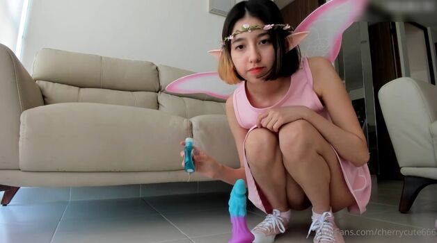 Cherrycute