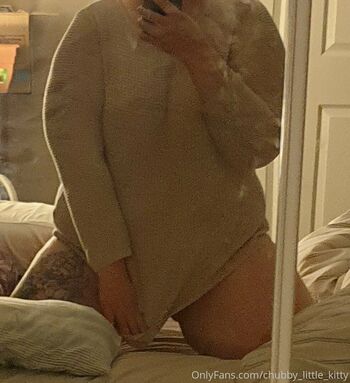 chubby_little_kitty