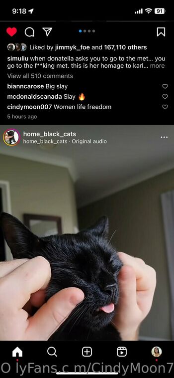 cindymoon7