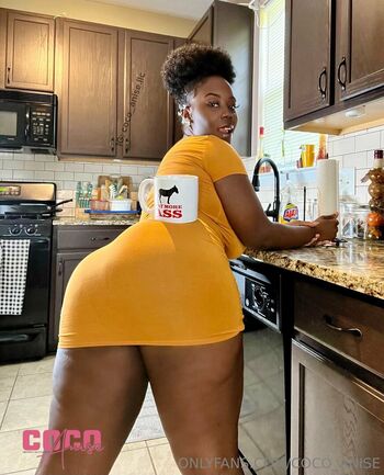 coco_anise