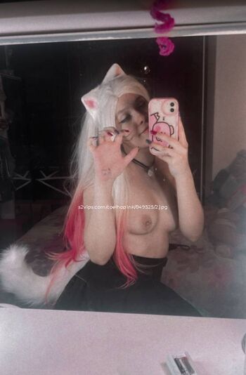 Coelho__pink