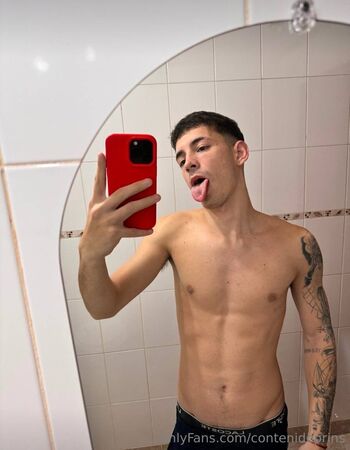 contenidoprins