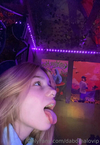 dabofhalovip