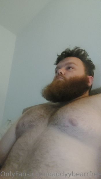 daddyybearrfree