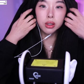 daintybabyelle
