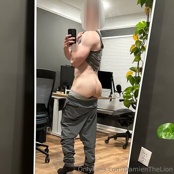 damienthelion
