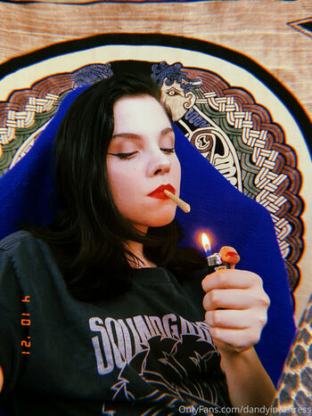 dandyindistress