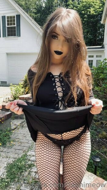 dannimeow