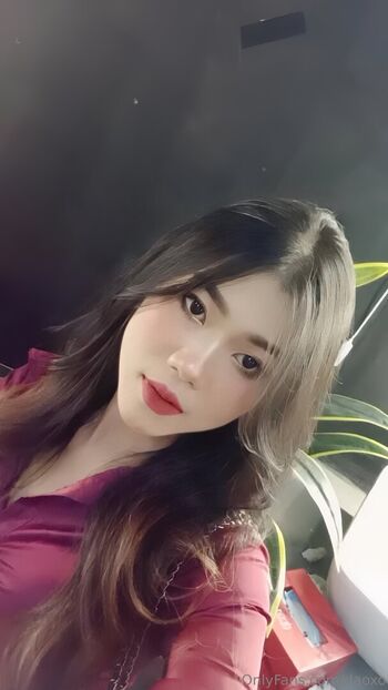 daoxo