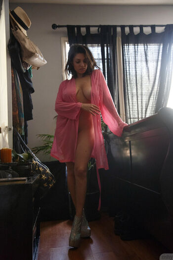 Darcie Dolce
